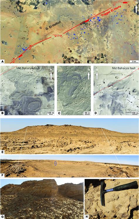 bahariya sediment formation.